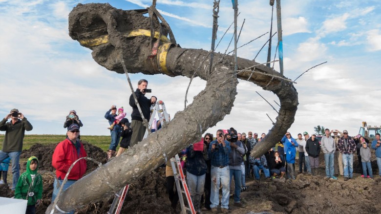Video: what experts are saying about wooly mammoth bones uncovered on a farm near Chelsea