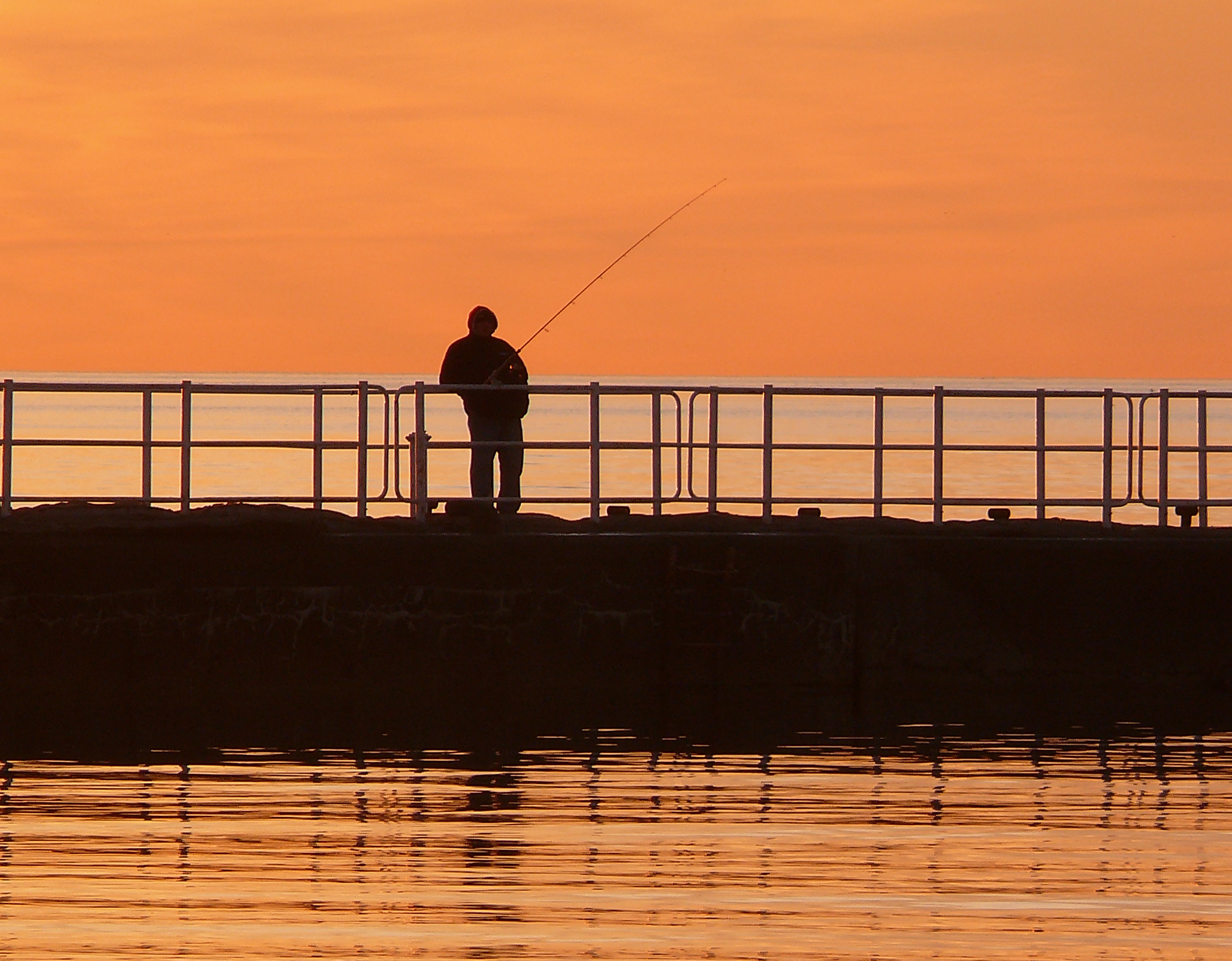 Improvements coming for Detroit River International Wildlife Refuge