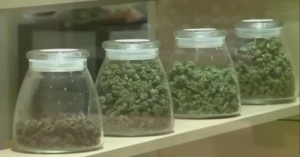 New medical marijuana law to take effect in Detroit