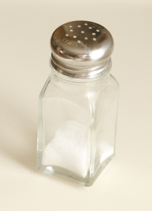 Salt Shaker