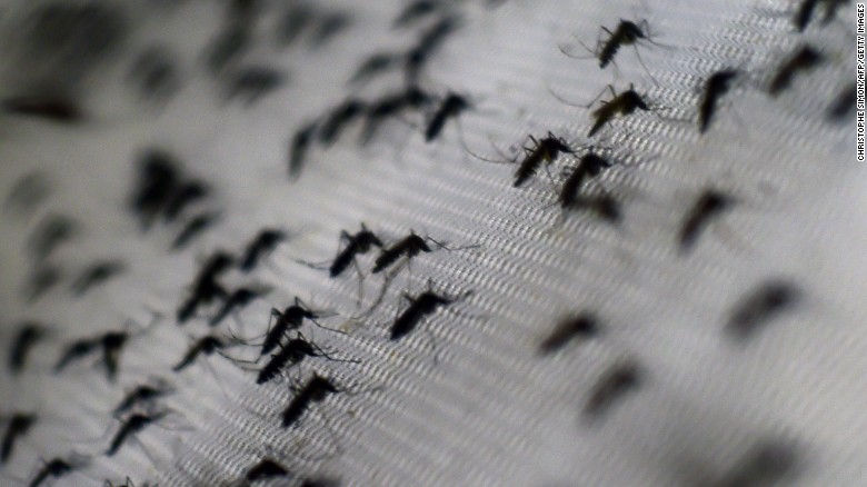 What is the Zika virus?