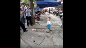 Video of toddler defending grandma on the street goes viral