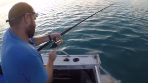 Giant Fish Tries to Steal Fisherman’s Catch