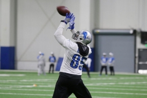 (Photo: Detroitlions.com)