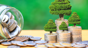 Federal Reserve Acts To Support Economy