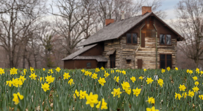 Log Cabin Day Spotlights Detroit Neighborhood in Renaissance