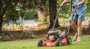 The Inside Outside Guys: Understanding Lawn Care