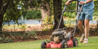 Lawn-Thing