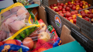 Food Bank Council of Michigan Aims to Address Rising Food Insecurity in the State