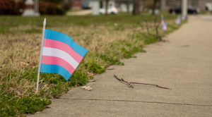 Michigan State Lawmaker Says the ‘Endgame’ is to Ban Trans Healthcare for Everyone