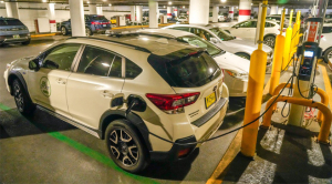 Hybrid Vehicles Top Consumer Reports’ 2024 Vehicle Picks List