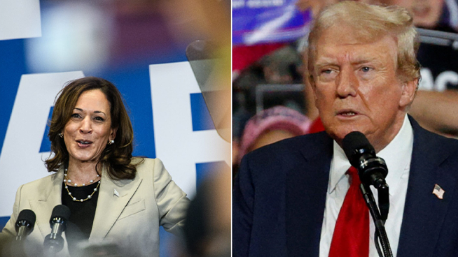 New Poll Shows Harris-Trump Race a Toss-Up in Michigan