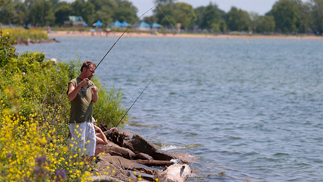St. Clair Shores Social District Returns Saturday with Live Music, Food Trucks