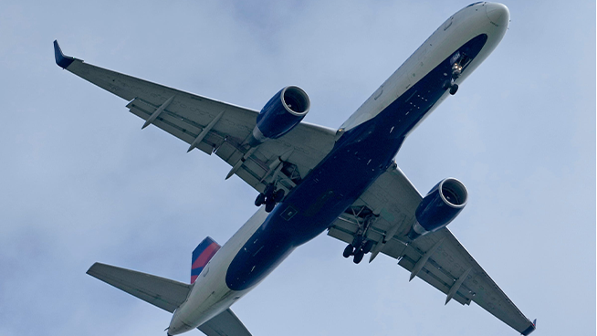 Delta Air Lines Sued by Detroit Flight Attendant