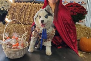 pet costume 5