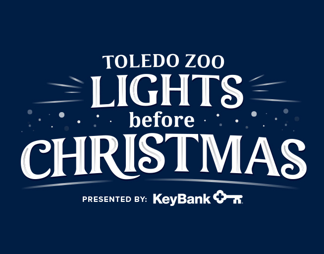 Win Tickets To The Lights Before Christmas at the Toledo Zoo