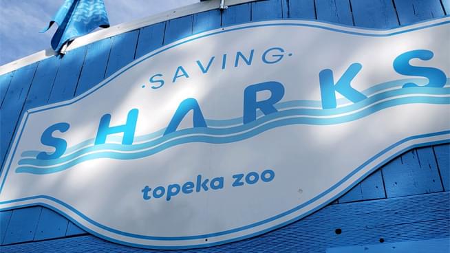 Here’s A Sneak Peak At The New Shark Exhibit At The Topeka Zoo