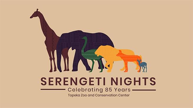Preview Camp Cowabunga at Serengeti Nights!