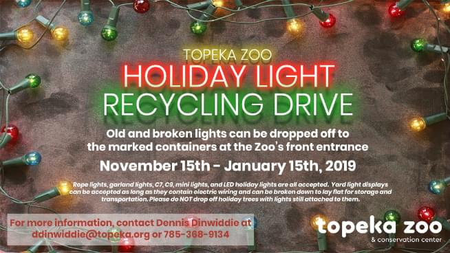 If You Have Old Christmas Lights That Don’t Work, There Is A Place To Dispose Them