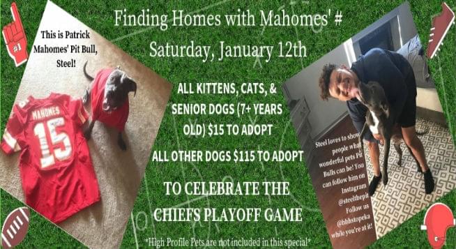 Finding MA(HOMES) Adoption Special