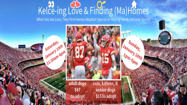 Helping Hands Humane Society Adoption Special: Kelce-ing Love & Finding (Ma)Homes!
