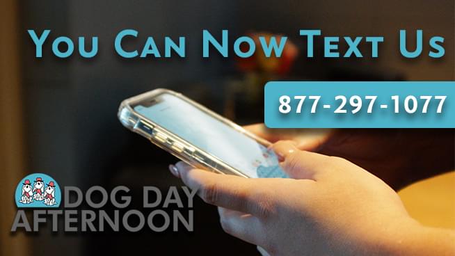 Text Line Now Open!
