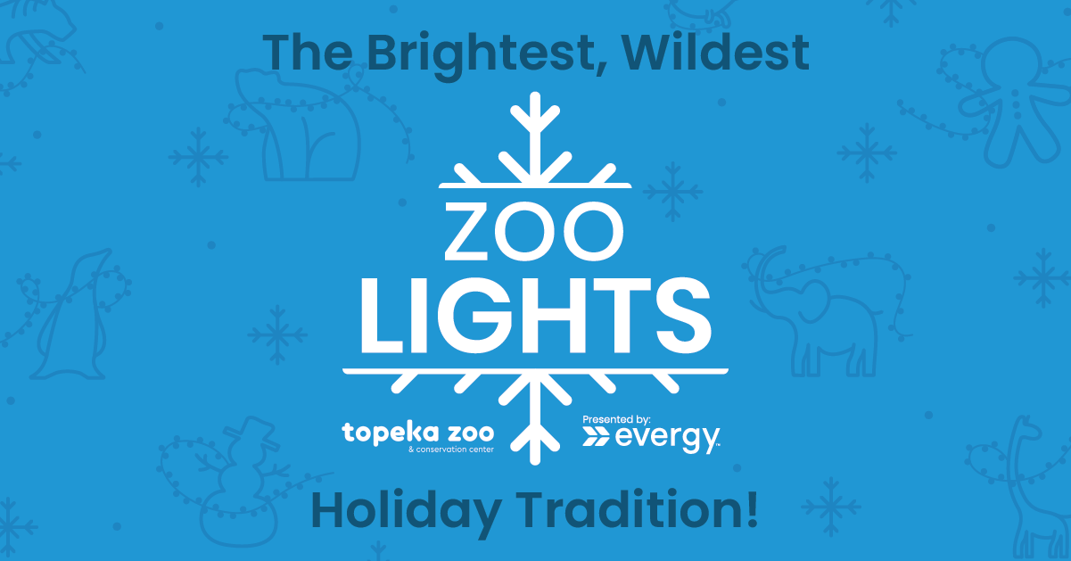 Zoo Lights November 19-December 26