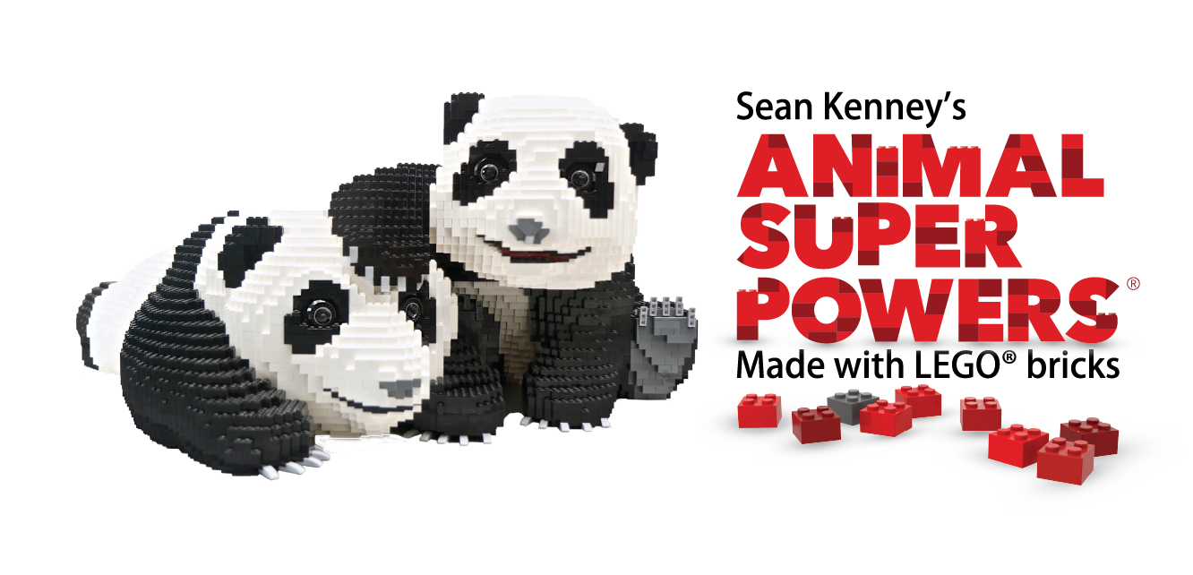 “Animal Superpowers”, an interactive feature made entirely from Legos, coming to the Topeka Zoo in April
