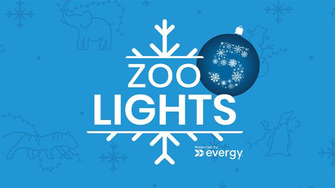 5 Years of Zoo Lights at the Topeka Zoo