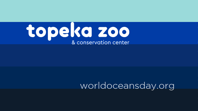 Celebrate World Oceans Day With The Topeka Zoo
