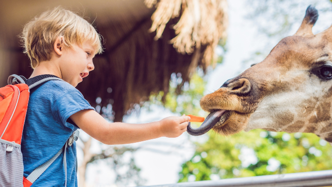 Topeka Zoo Giraffe & Friends Grand Opening