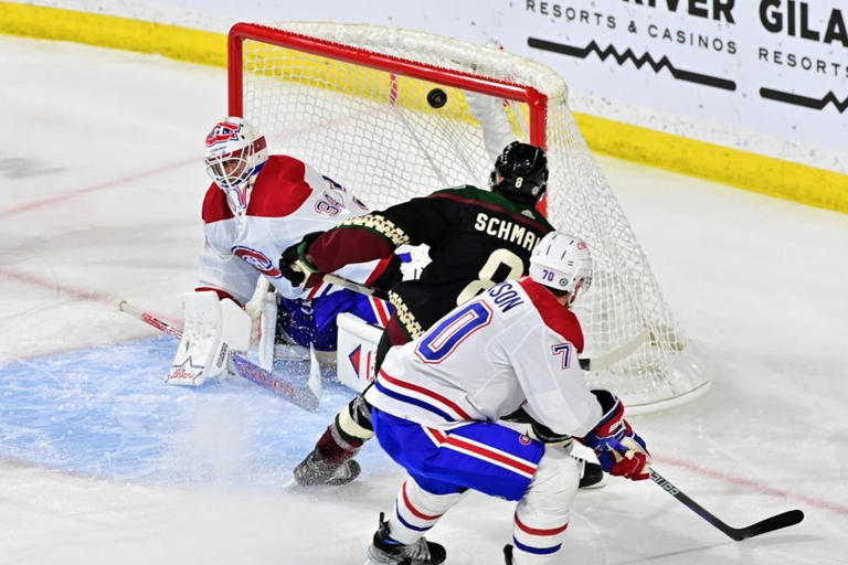 Nick Schmaltz scores twice to lift Coyotes over Canadiens