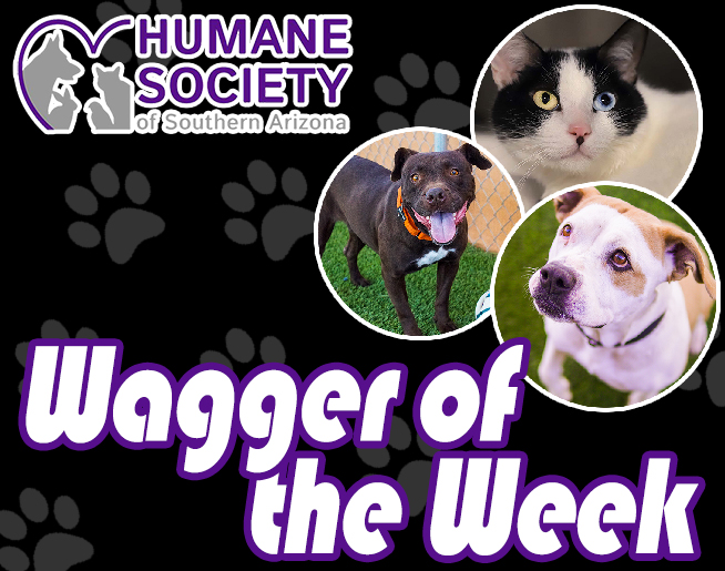 Wagger of the Week