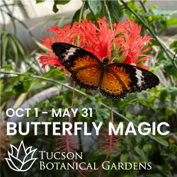 10/1/24 – 5/31/25 – Butterfly Magic at Tucson Botanical Gardens