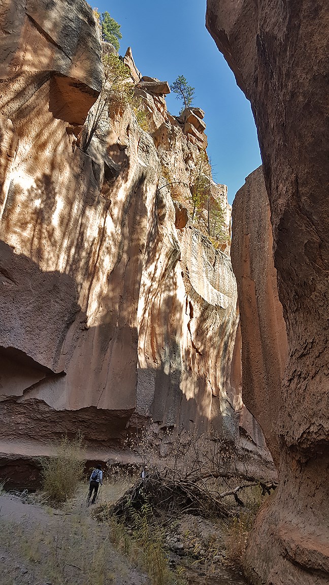 Shuttle service to Frijoles Canyon