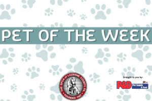 Pet of the Week