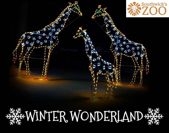 Adam Webster talks with Betsey Brewer from Southwick’s Zoo about their Winter Wonderland event