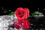 The Next Bachelorette Is…