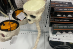 Get Your Skull Beer Bongs! Halloween Drinks!