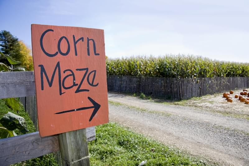 USA Today Names Two Indiana Corn Mazes Best In The Nation