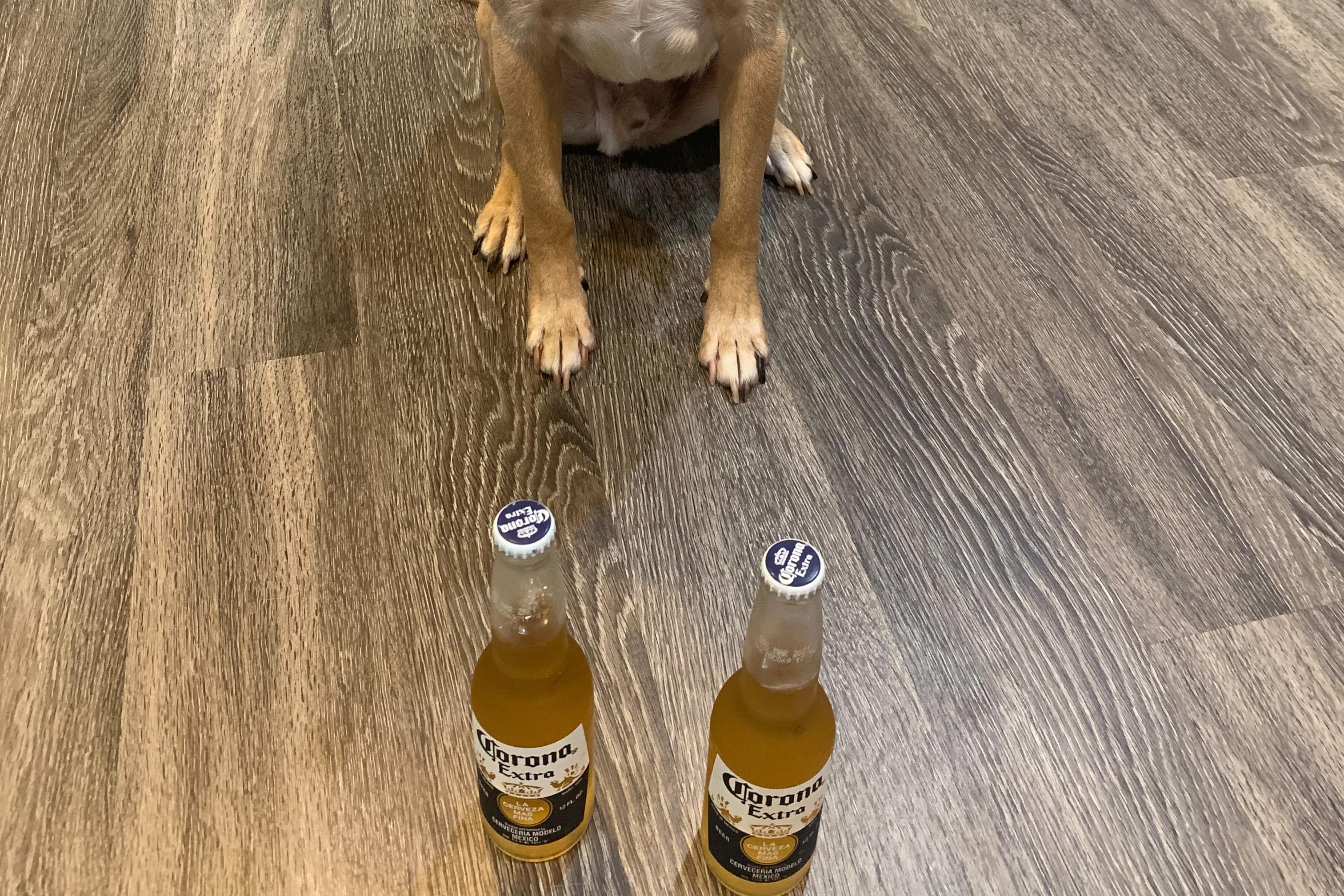 2 Beers And A Puppy Determine Who You Can Trust