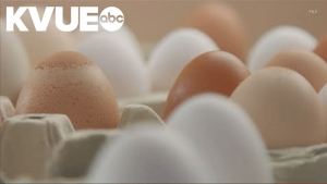Prices of Eggs Rise as People Expected To Spend Less For Easter