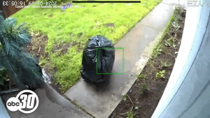 Porch Pirate Disguised as Trash Bag Steals Package from Sacramento Doorstep