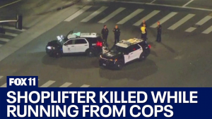 Shoplifter Dead, Another Seriously Injured After Being Hit by Car