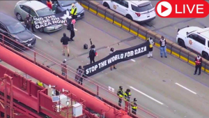 Protest Shuts Down Golden Gate Bridge, Other Areas