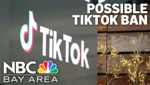 TikTok Says It Will Challenge Ban Legislation in Court