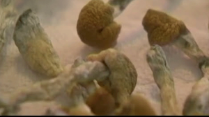 Senate Bill Aims to Legalize Some Psychedelics