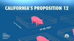 Midwest Farmers Calling Out CA Lawmakers Over Pig Protections