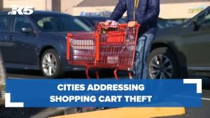 Sacramento Leaders Are Considering Holding Business Owners Responsible For Preventing Shopping Cart Theft