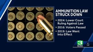 Appeals Court Finds Background Checks for Buying Ammo Unconstitutional